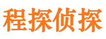 河西市私家侦探